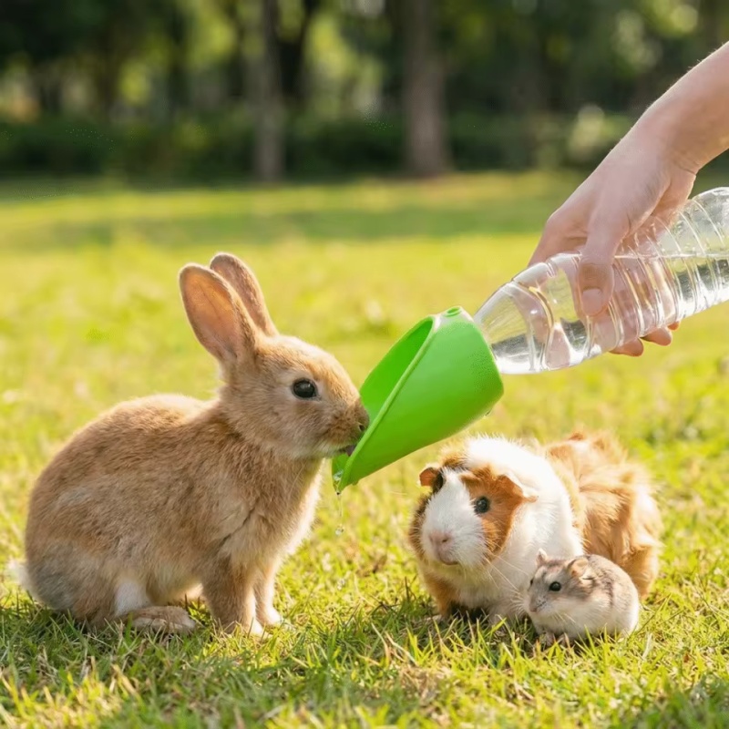 Dog cat Travel Water Bottle  P - Water Bag Collapsible avis et prix